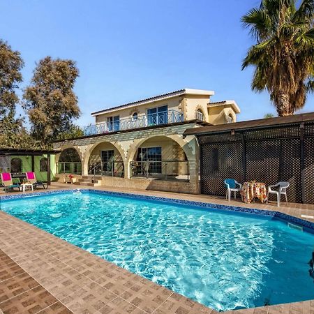 Villa Danae Coral Bay By Villa Plus Pegeia Exterior foto
